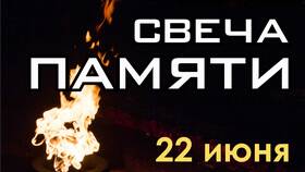 Что такое акция 