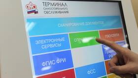 Как получить СНИЛС в электронном виде через Госуслуги в Газпромнефть