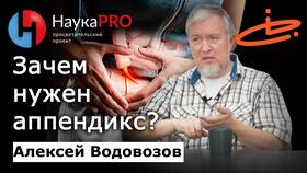 Калмирекс: инструкция по применению в Газпромнефть