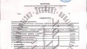 Лицензия как товар: особенности и характеристики в Газпромнефть