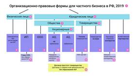 Организационно-правовая форма у ИП: что указывать в Газпромнефть
