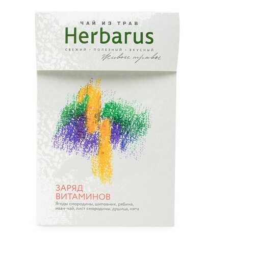 Чай травяной Herbarus заряд витаминов 40 г в Газпромнефть